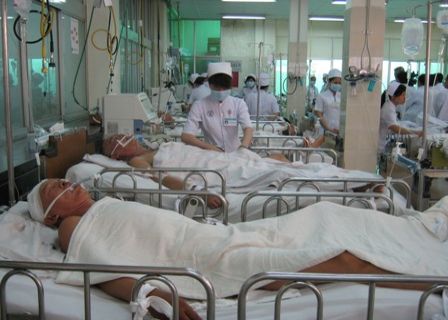 Ai được bồi thường thiệt hại trong vụ tai nạn giao thông đường bộ?